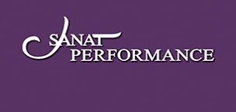 Sanat Performance