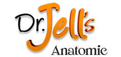 Dr Jells